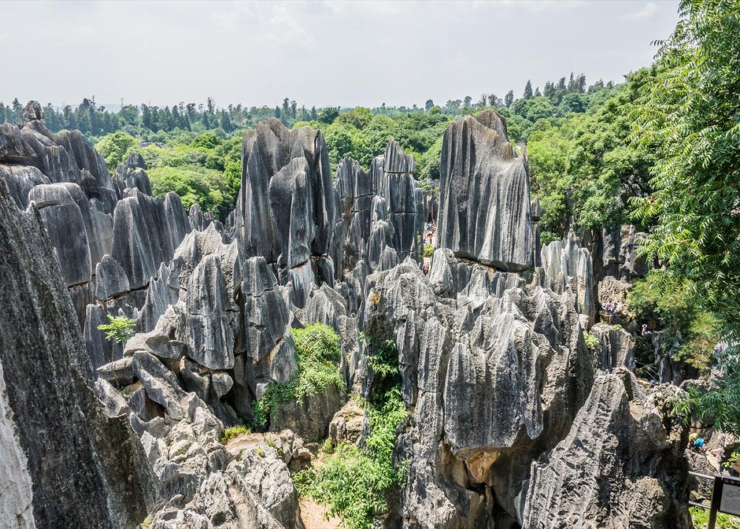 Kunming