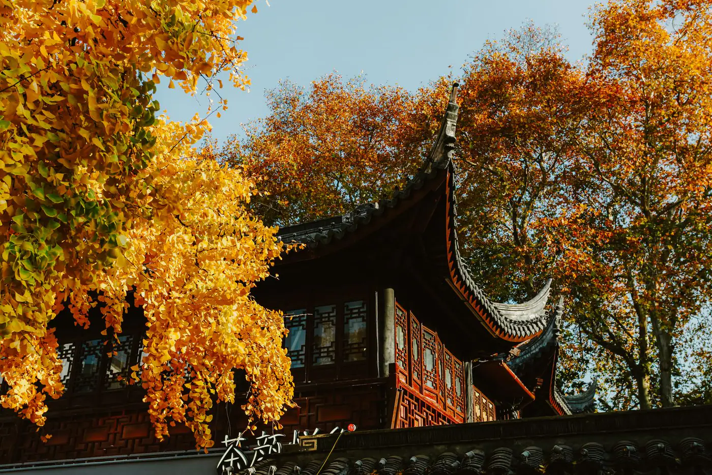 Arquitetura tradicional chinesa cercada por folhas douradas no outono em Nanjing
